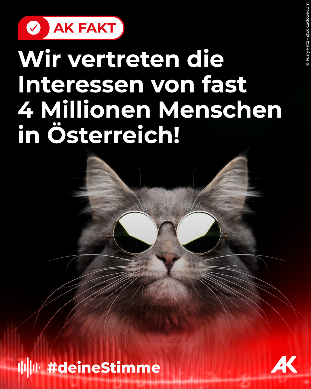 AK_FAKT_vertreten_4_Millionen_Menschen